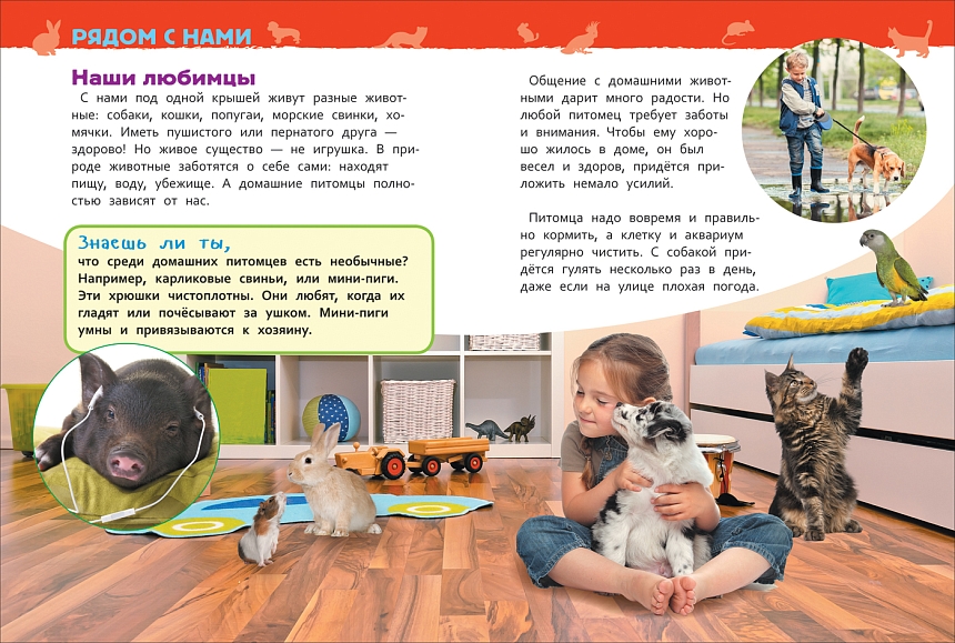 Домашние питомцы. Энциклопедия для детского сада