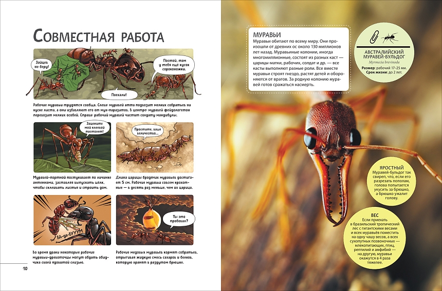 Невероятные насекомые. Иллюстрированная  энциклопедия