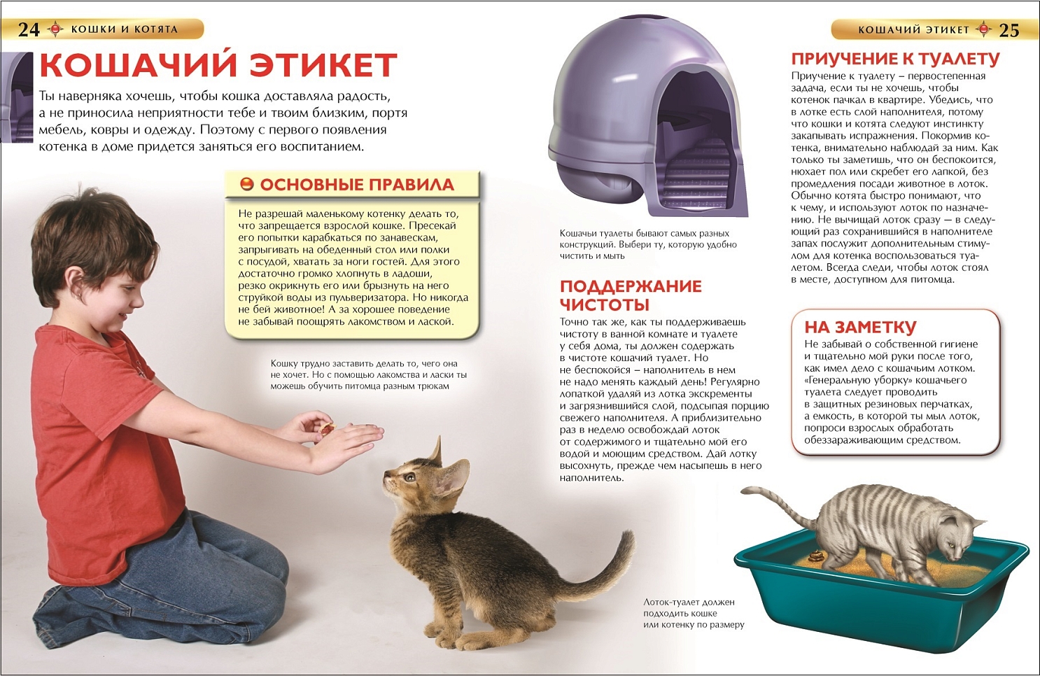 Кошки и котята. Детская энциклопедия – купить по лучшей цене на сайте  издательства Росмэн