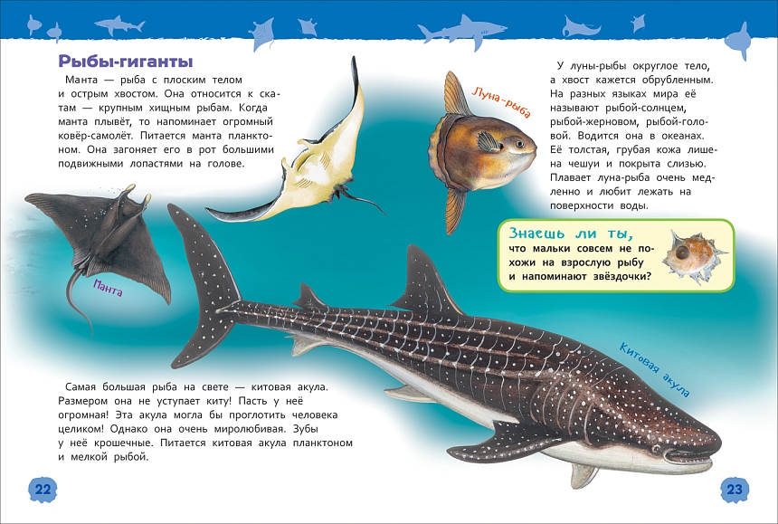 Подводный мир. Энциклопедия для детского сада