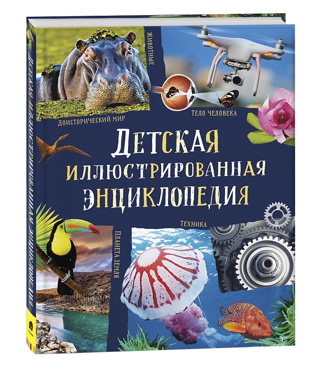 Детская иллюстрированная энциклопедия – купить по лучшей цене на сайте ...