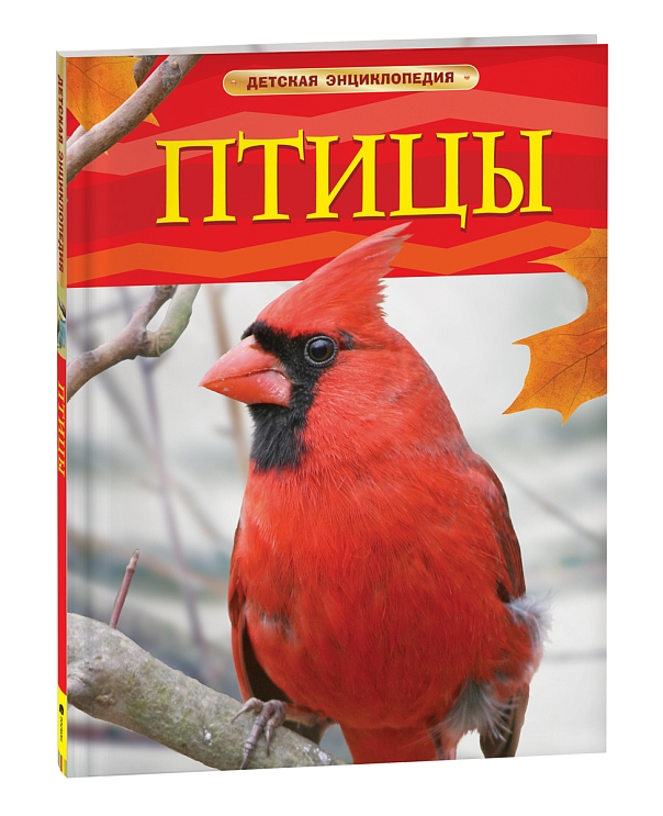 Птицы. Детская энциклопедия – купить по лучшей цене на сайте ...