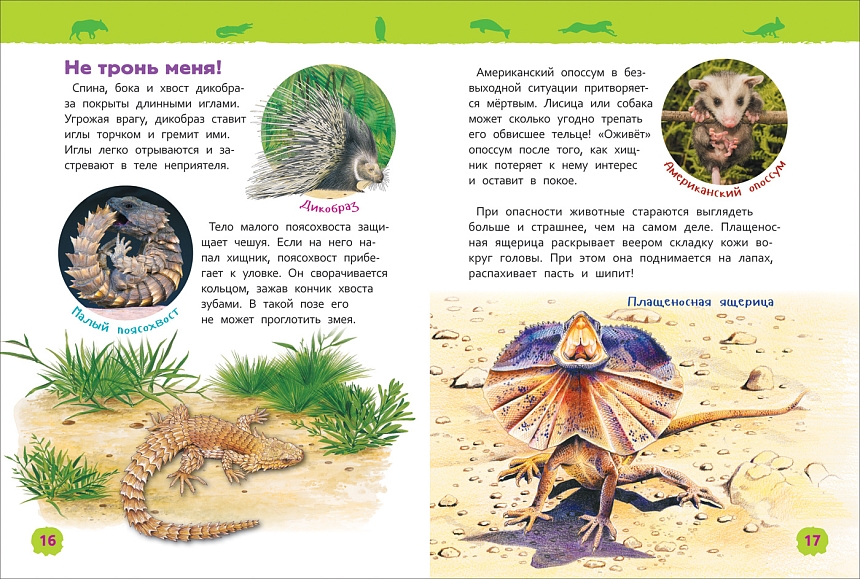 Удивительные животные. Энциклопедия  для детского сада