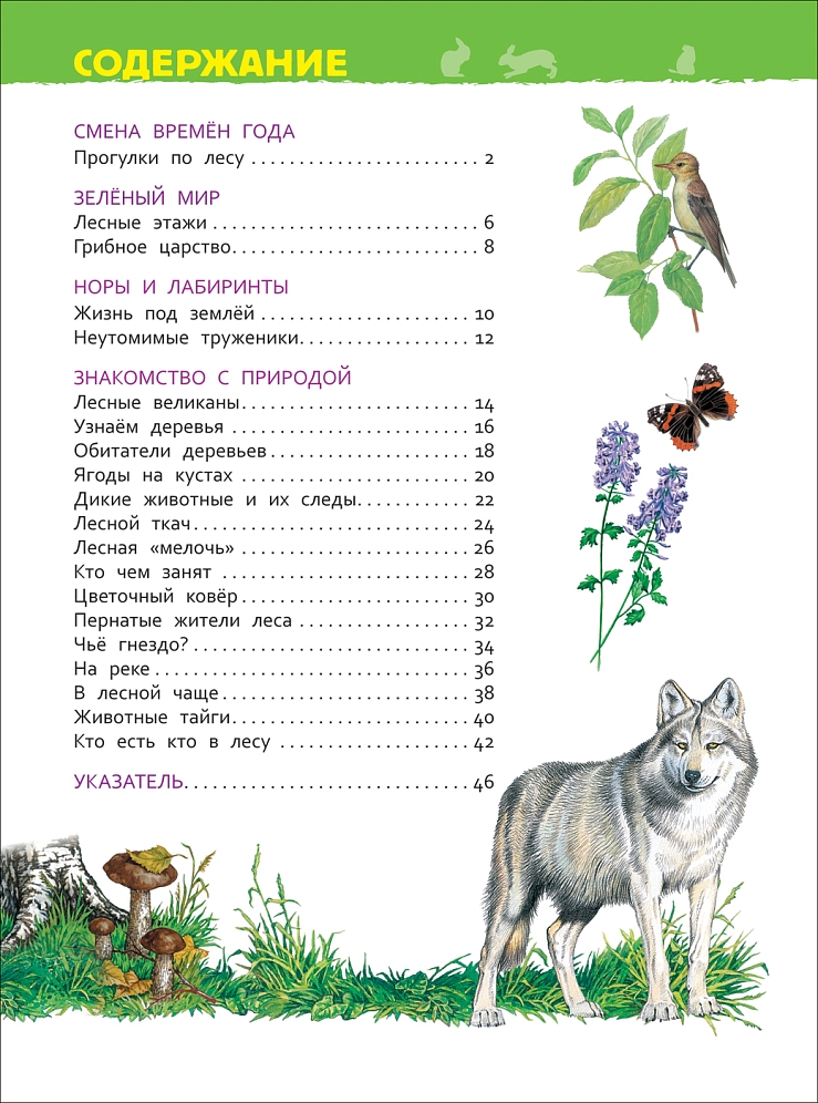 В лесу. Энциклопедия для детского сада